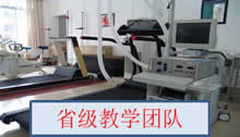 vsport体育APP下载图片