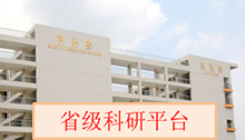 vsport体育体育频道图片