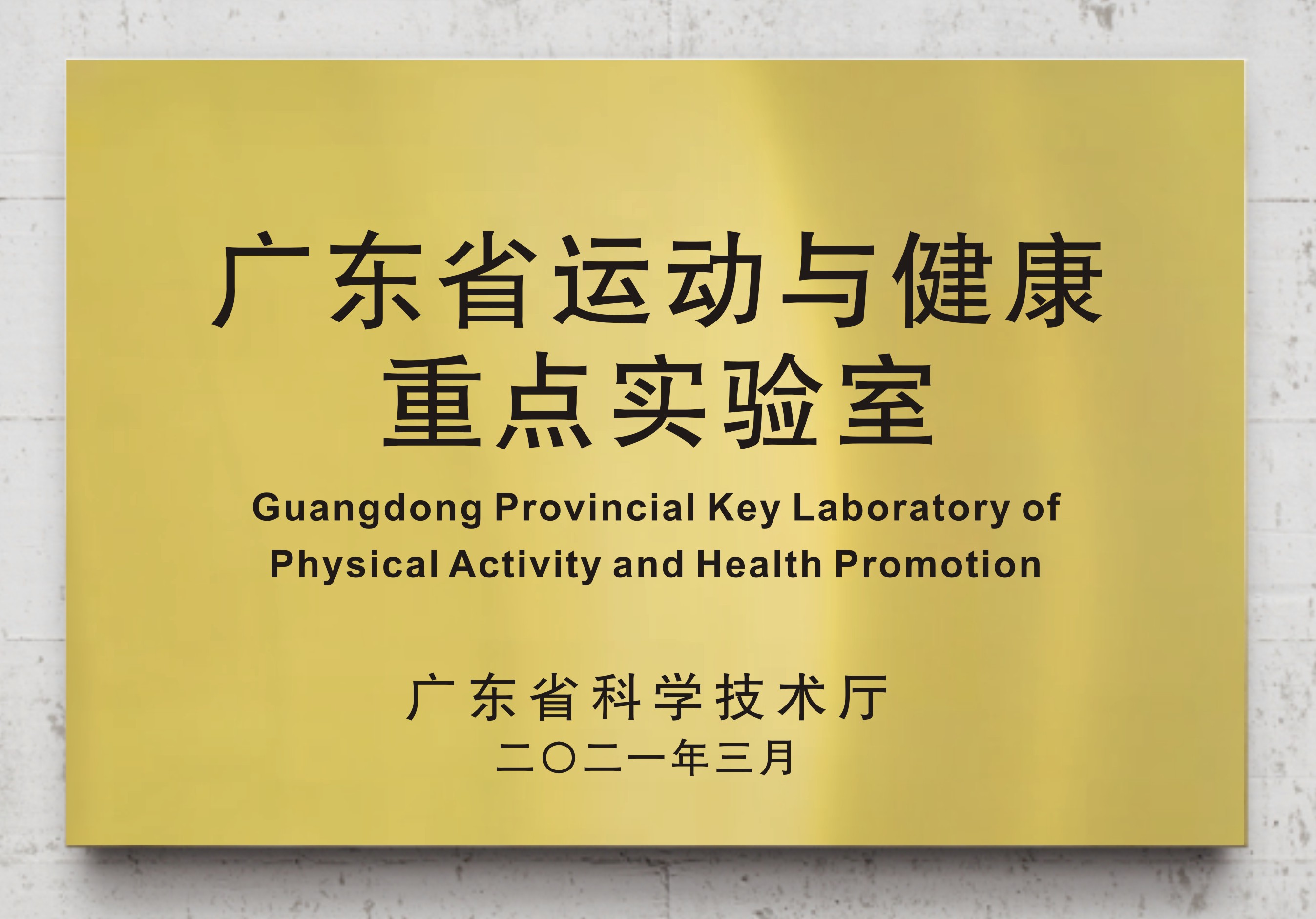 广东省运动与健康重点体育报告厅