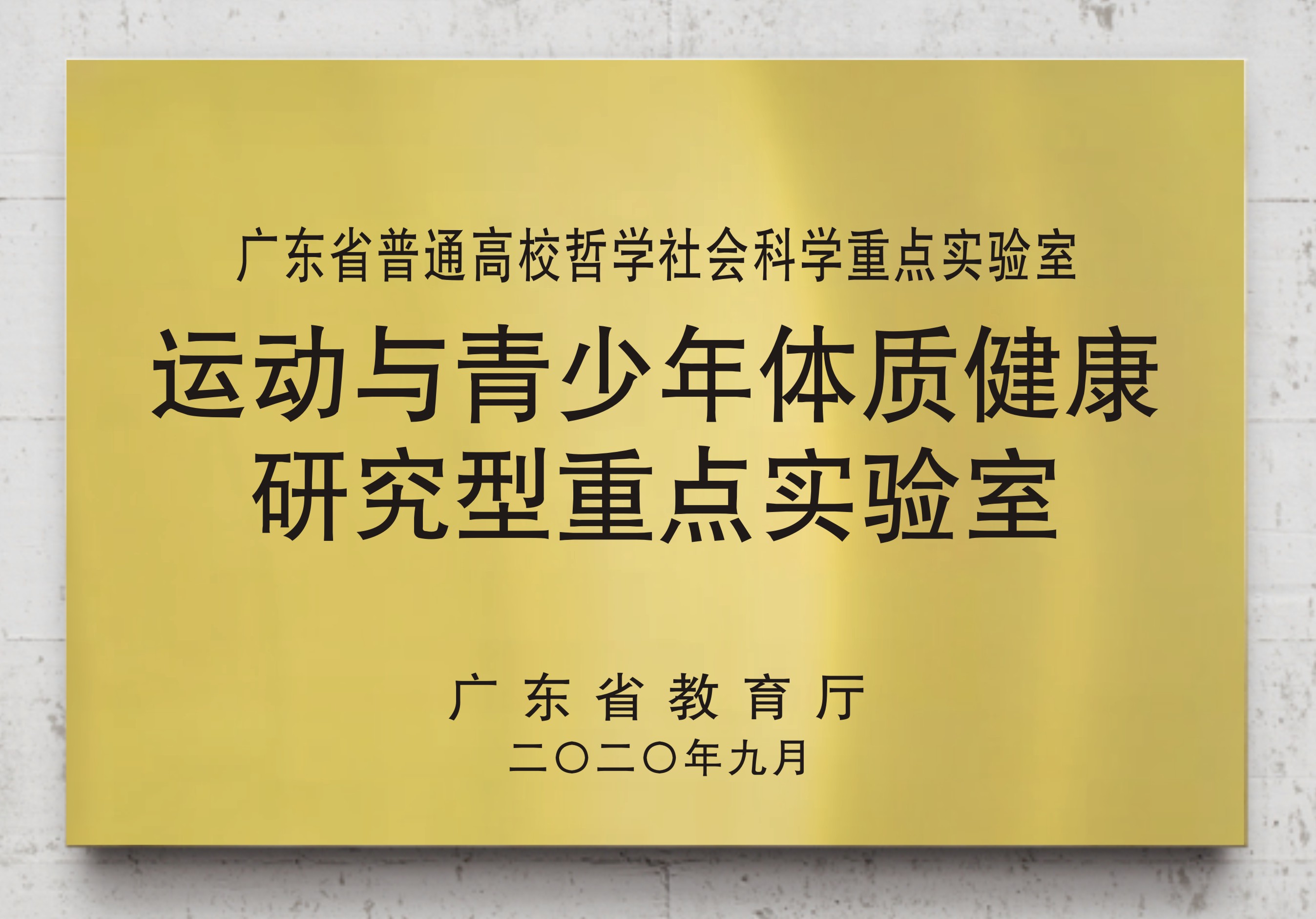 运动与青少年体质健康社区型重点体育报告厅
