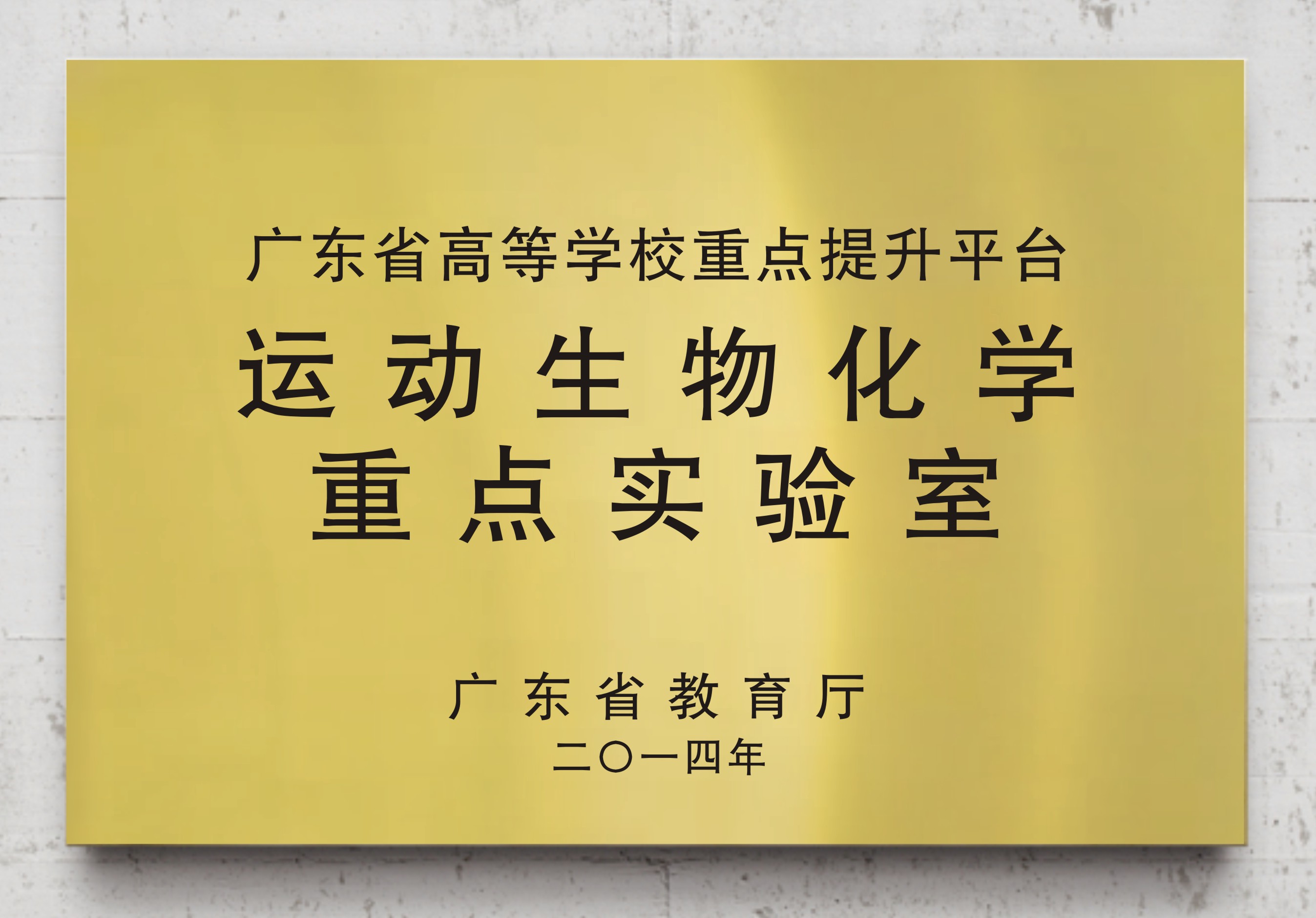 运动生物化学重点体育报告厅